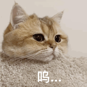 手机在线性爱片
