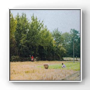 手机在线性爱片
